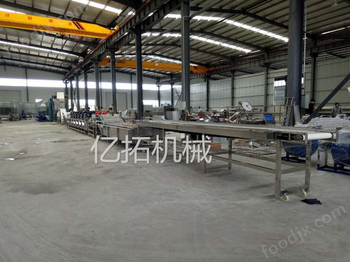 全套净菜加工设备 打造现代化食品生产的核心利器